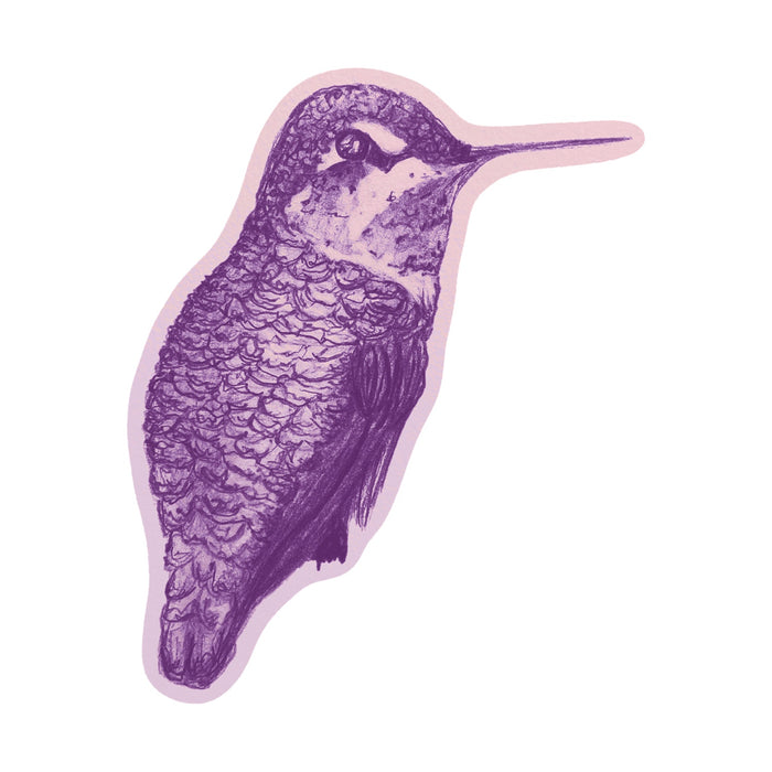 Hummingbird Sticker